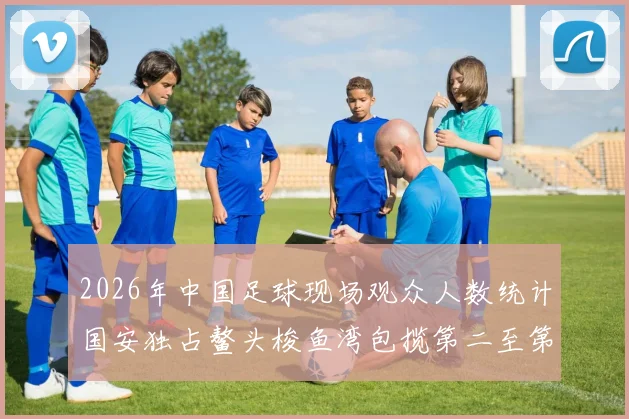 2026年中国足球现场观众人数统计国安独占鳌头梭鱼湾包揽第二至第七位