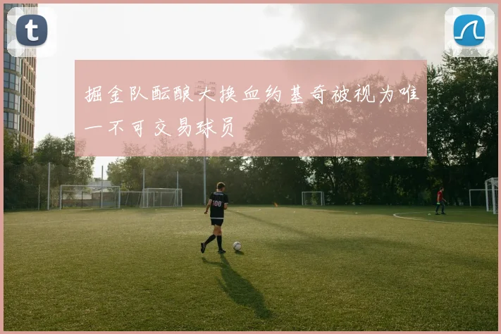 掘金队酝酿大换血约基奇被视为唯一不可交易球员